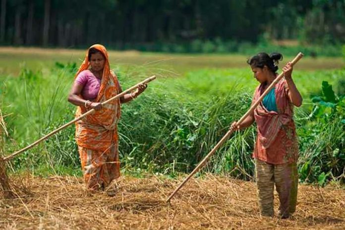 women in agriculture