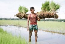 farmer bangladesh