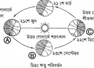 the sun orbits