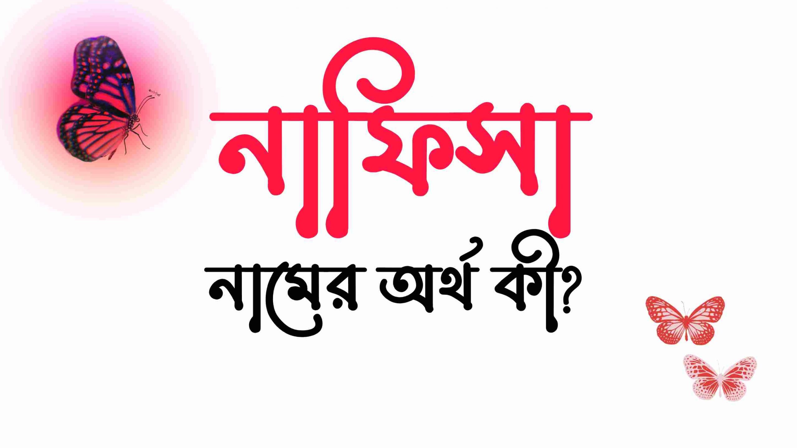 নাফিসা নামের অর্থ কি? (বাংলা ও ইসলামিক অর্থ জানুন) - Nafisa Namer Ortho