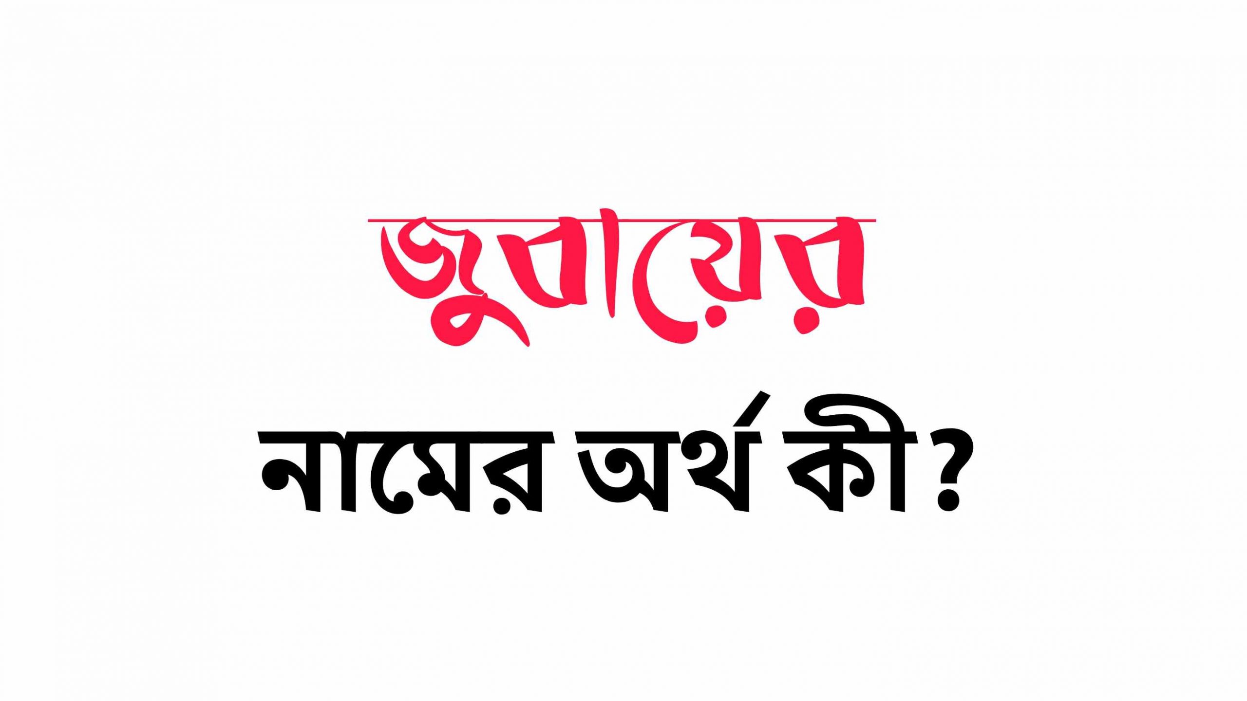 জুবায়ের নামের অর্থ কি? (বাংলা ও ইসলামিক অর্থ) – Zubayer Namer Ortho