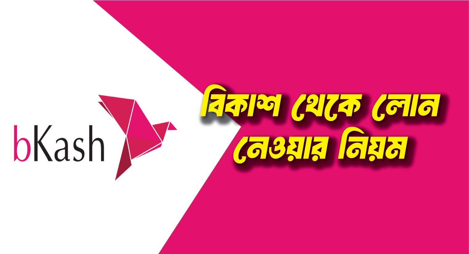 ১০ হাজার টাকা পর্যন্ত বিকাশ থেকে লোন নেওয়ার নিয়ম (জামানত ছাড়াই ঋণ পাওয়ার নিয়ম)