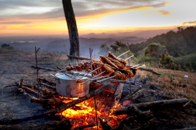 National Barbecue Day 2025: History, Celebration, Messages, Quotes, Wishes