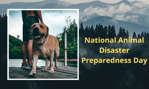 National Animal Disaster Preparedness Day