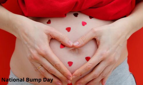 National Bump Day 2025: Date, Wishes, Messages, History