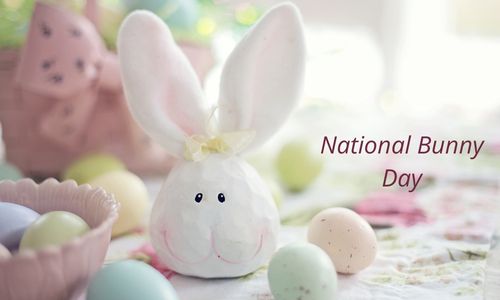 National Bunny Day: History, Messages, Slogans, Quotesm, Celebration Activities