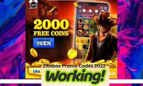 Zitobox Promo Codes July 2025 [Latest Update]