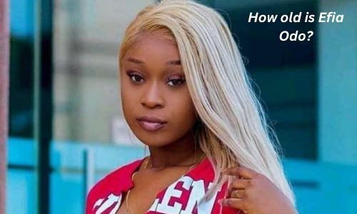 Efia Odo Age, Biography, Family, Boyfriend, Career, Net Worth & Controversy