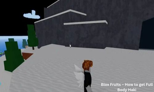 Blox Fruits – How to get Full Body Haki?