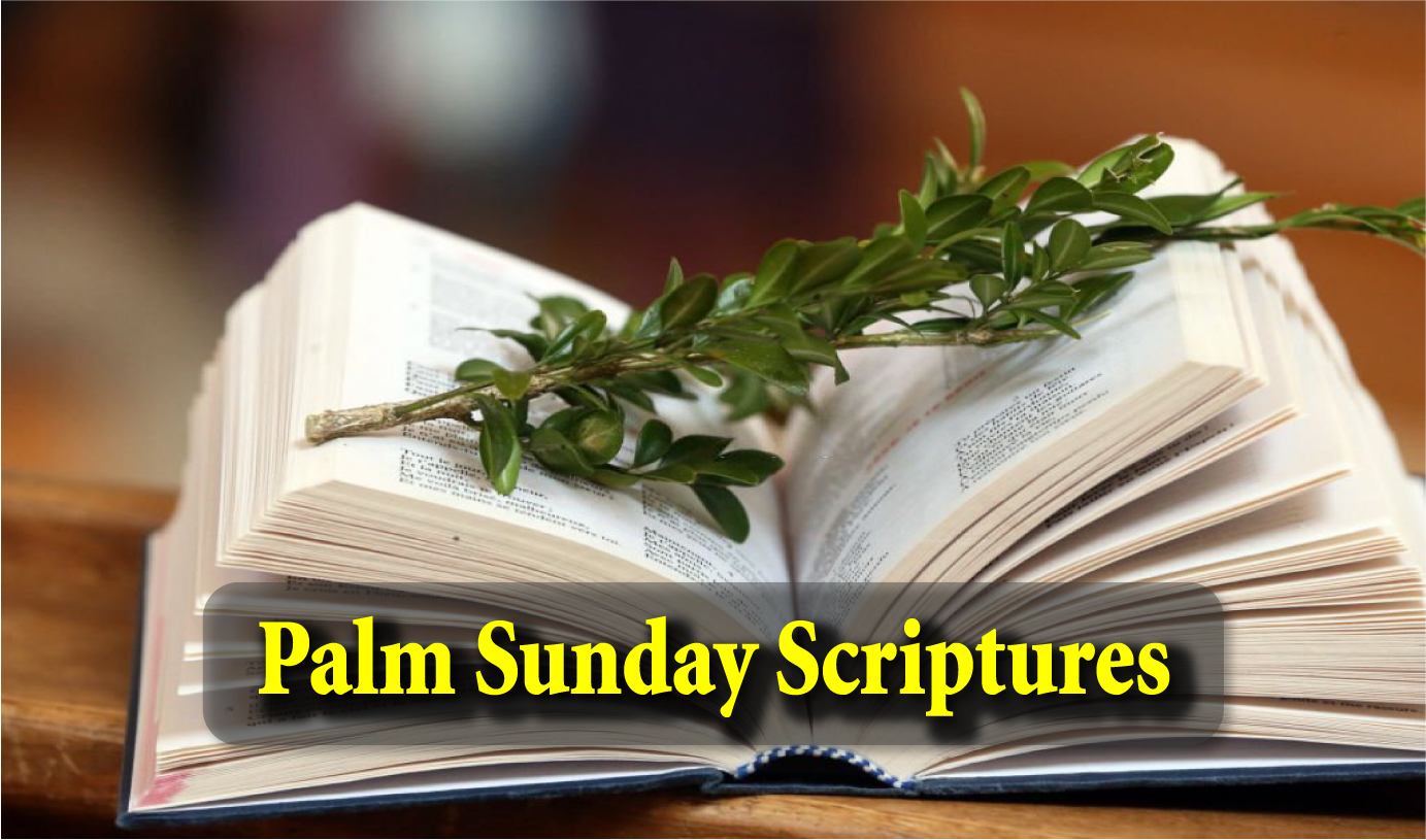 13 Best Palm Sunday Scriptures: Inspiring Verses to Commemorate Jesus’ Triumphal Entry