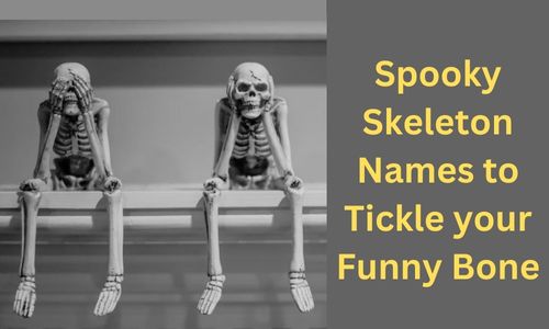 Spooky Skeleton Names to Tickle your Funny Bone