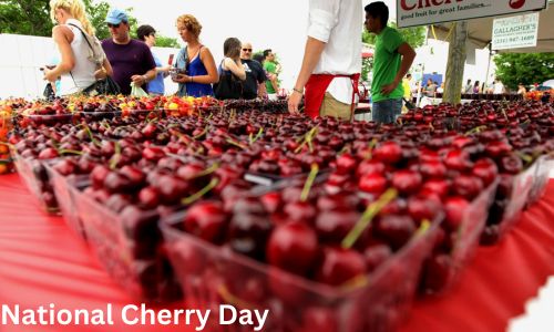 National Cherry Day 2025: History, Activities, Wishes and Messages