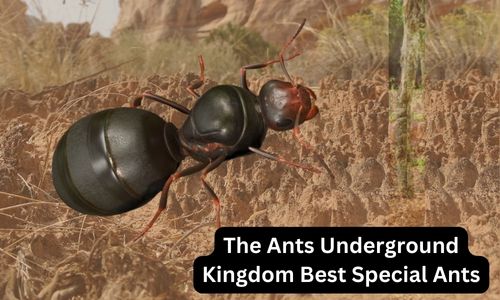 The Ants Underground Kingdom