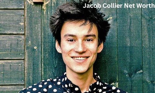 Jacob Collier Net Worth, Biography, Age, Height, Parents, Career, and Boyfriend