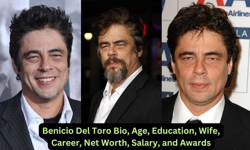 Benicio Del Toro Bio, Age, Education, Wife, Career, Net Worth, Salary, and Awards