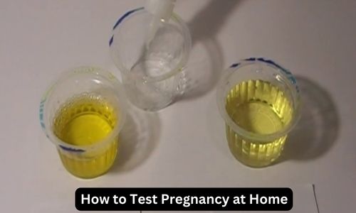 How to Test Pregnancy at Home: 5 Easy Methods