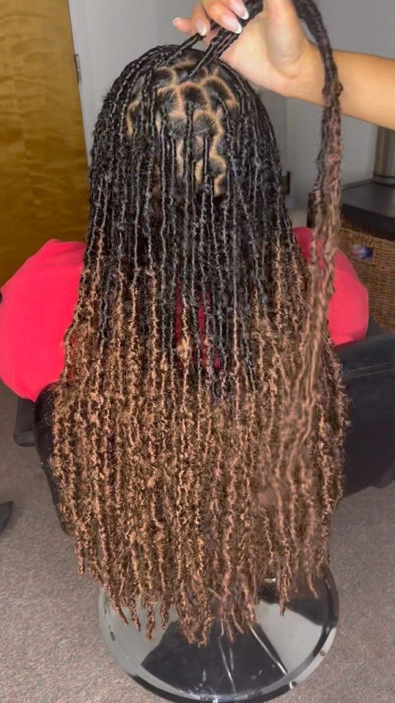 Ombre Soft Locs