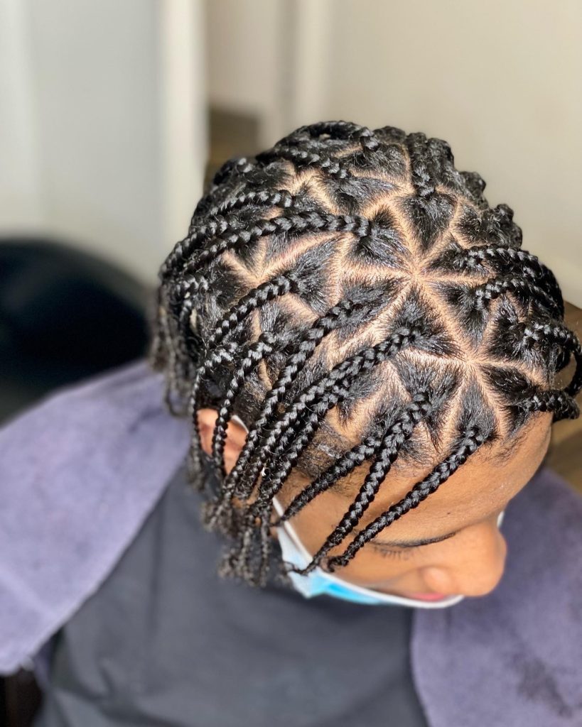 Triangle Parted Box Braids