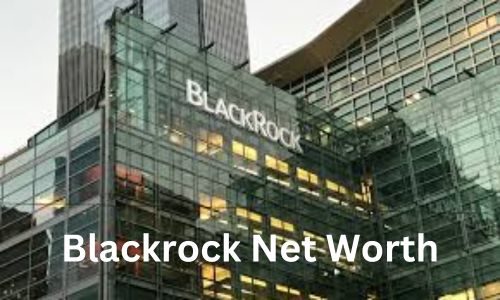 Blackrock Net Worth: Company Overview and Net Income Till 2025