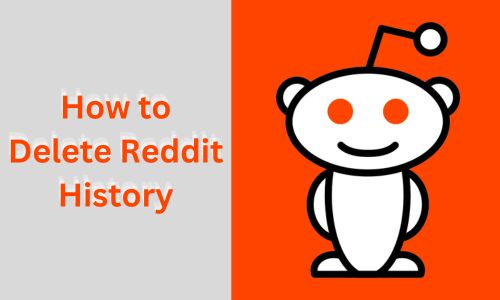 How to Delete Reddit History? Reddit Search and View History