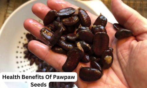 Health Benefits Of Pawpaw Seeds: Do You Know Them?