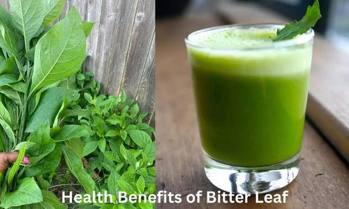 Health Benefits of Garden Egg Leaf: Improves Your Health