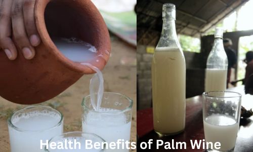 Health Benefits of Palm Wine: Why Palm Wine is Good For You?