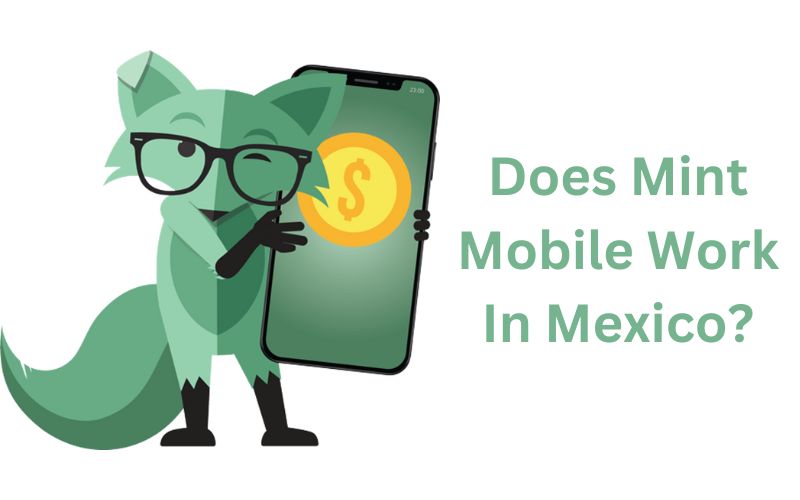 Does Mint Mobile Work In Mexico? Complete Guide with Answer