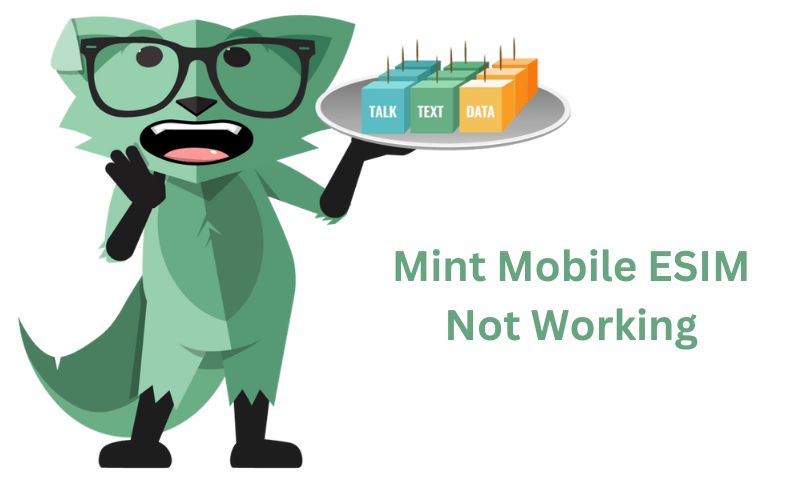 Mint Mobile ESIM Not Working: A Detail Guide To Fi