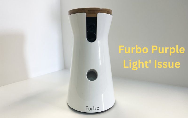 5 Essential Tips To Fix ‘Furbo Purple Light’ Issue