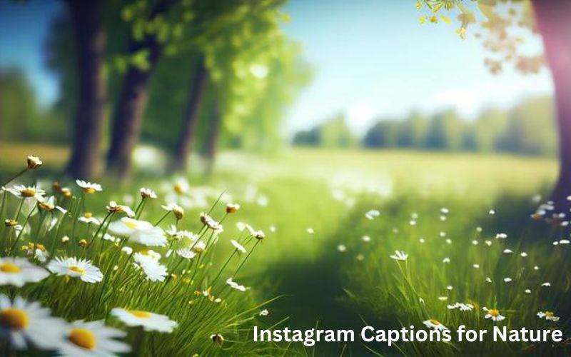 Best and Most Beautiful Instagram Captions for Nature