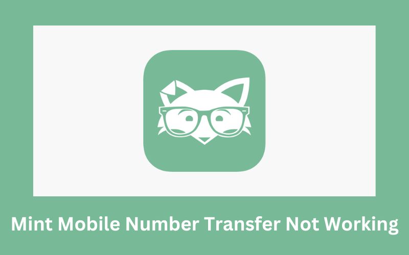 Mint Mobile Number Transfer Not Working? Best Troubleshooting Guide