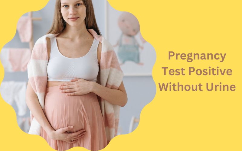 How To Make A Pregnancy Test Positive Without Urine?