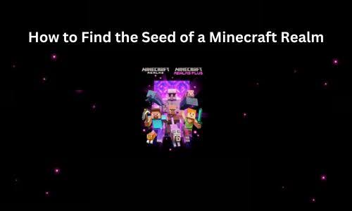 How to Find the Seed of a Minecraft Realm? Complete Guide