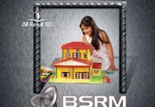 BSRM logo