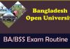Open University BA/BSS Exam Routine