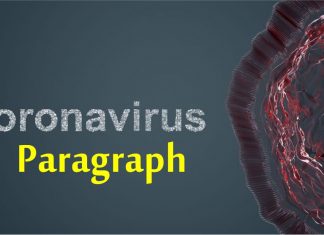 Coronavirus Paragraph