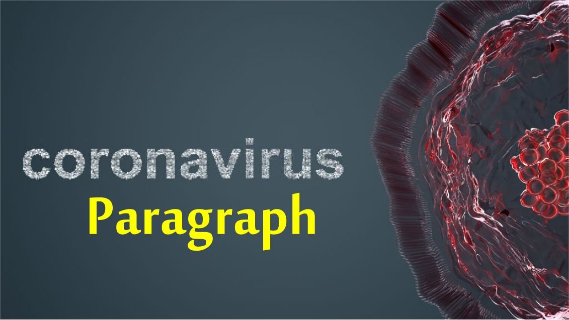 Coronavirus Paragraph