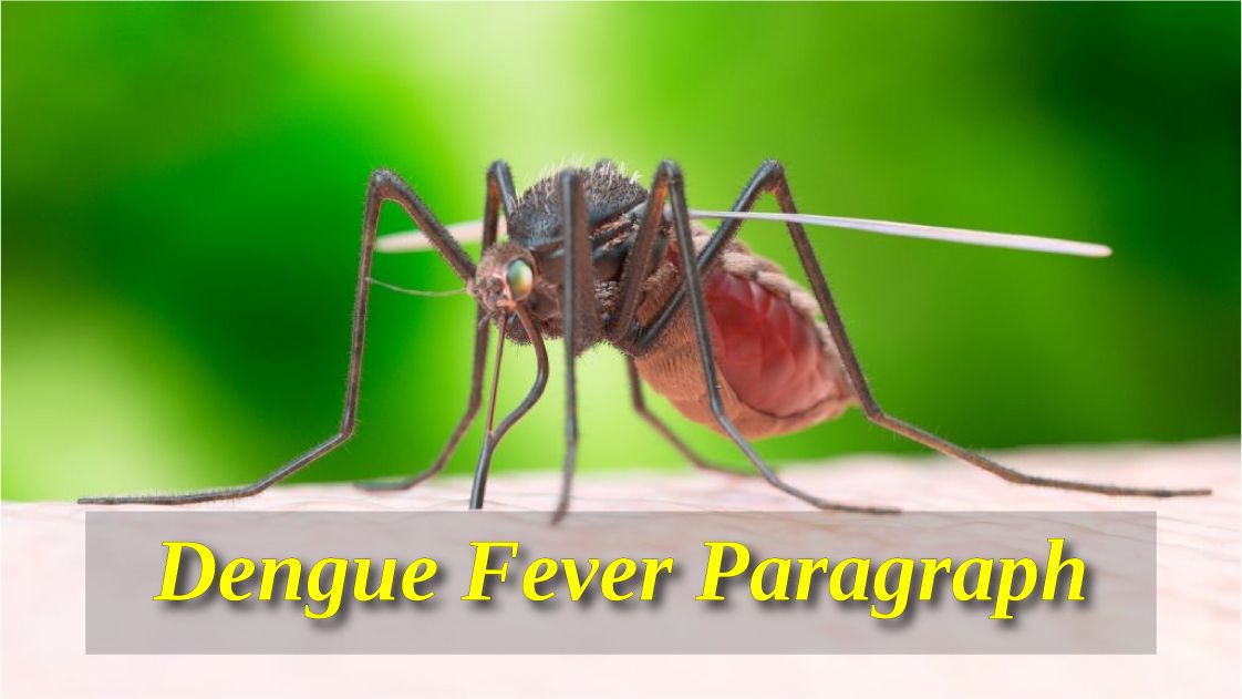 Dengue Fever paragraph