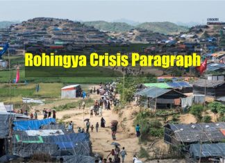 Rohingya Crisis Paragraph