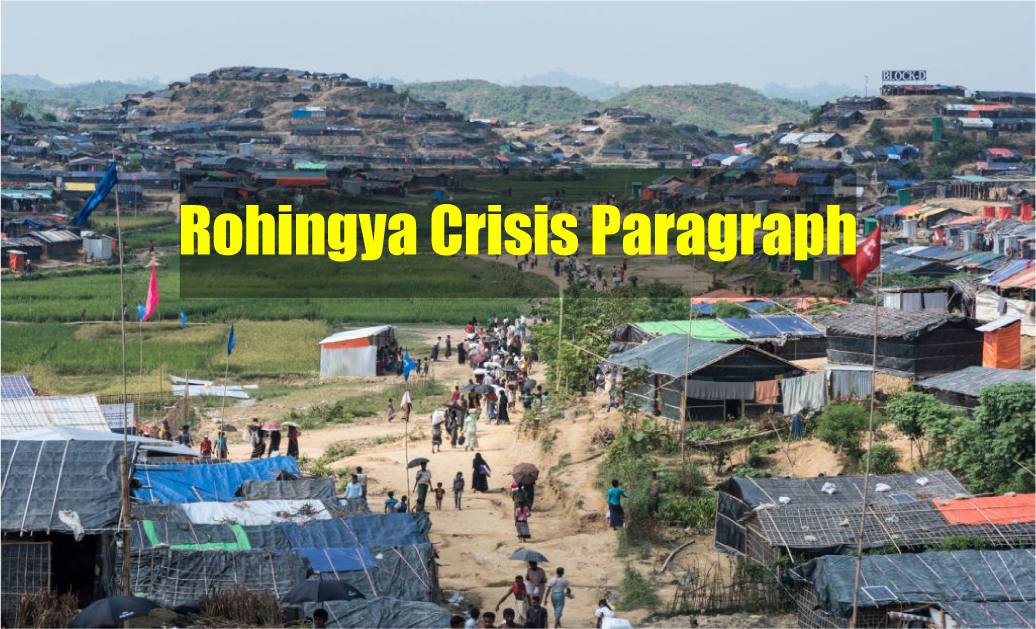 Rohingya Crisis Paragraph