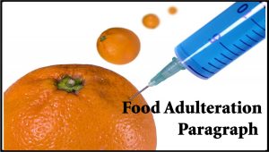 Food Adulteration Paragraph for HSC, SSC (150, 200 words)