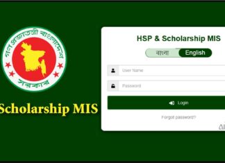 HSP Scholarship MIS