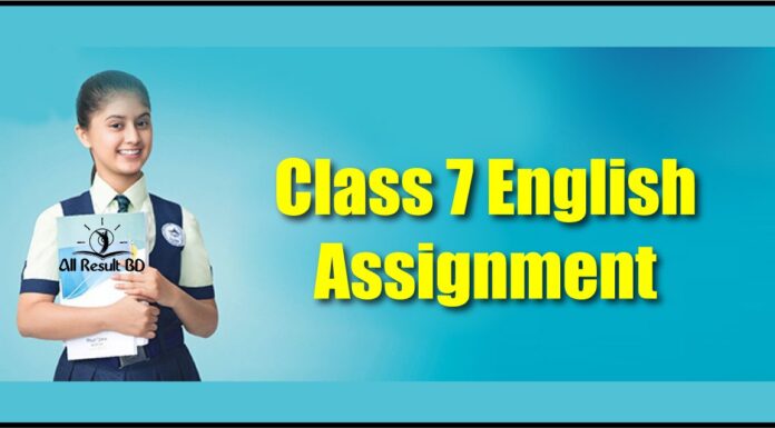 Class 7 Assignment English