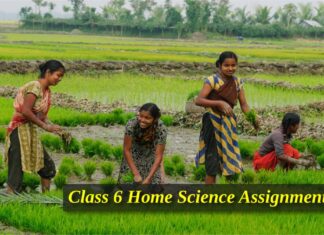 Class 6 Home Science Assignment