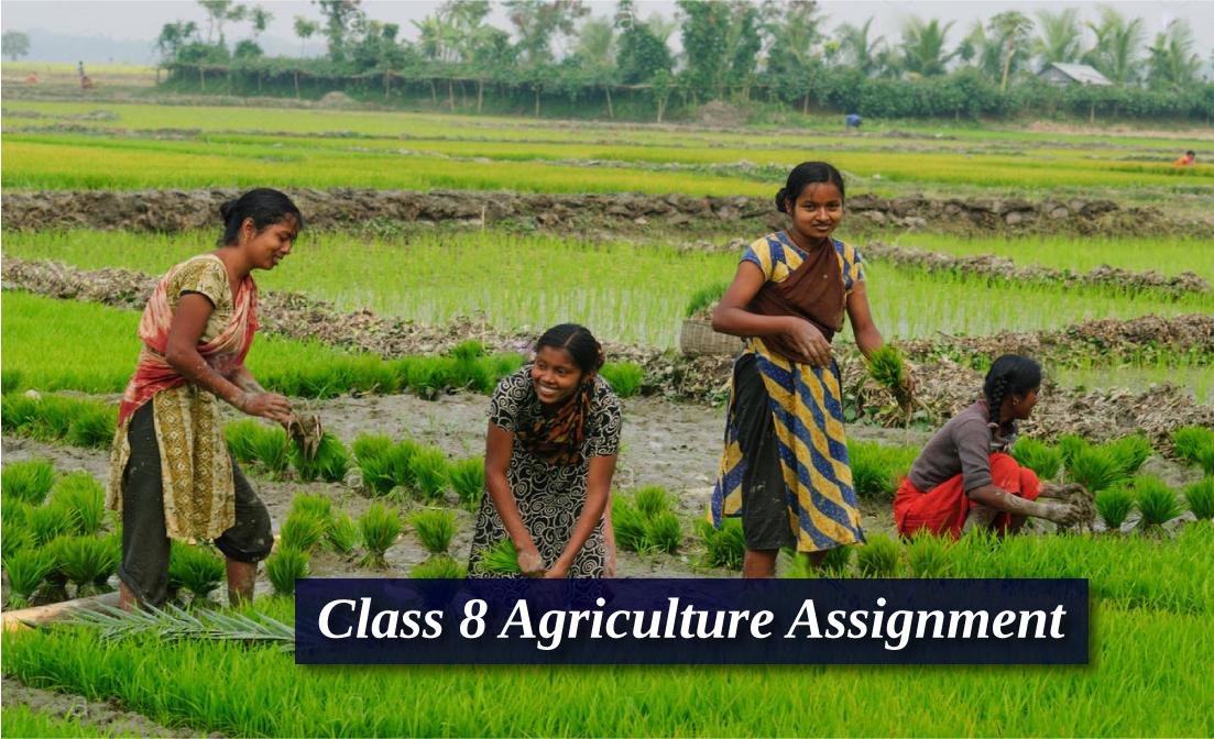 Class 8 Agriculture Assignment