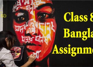 Class 8 Bangla Assignment