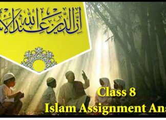 Class 8 Islam Assignment Answer