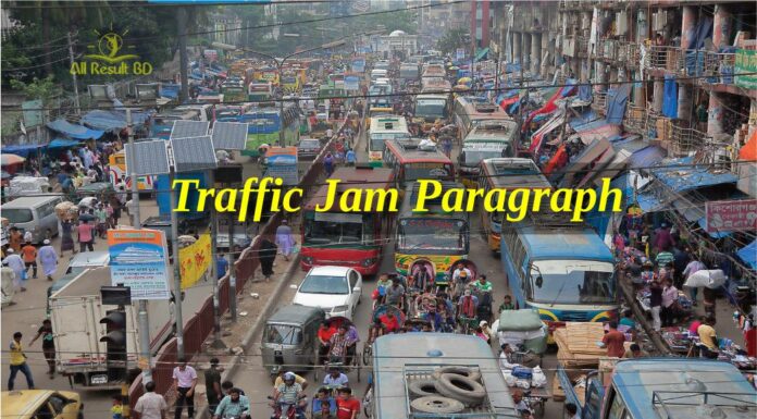 Traffic Jam Paragraph