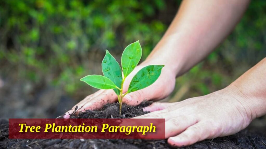 Tree Plantation Paragraphs for Class 5–12 (150–400 Words)